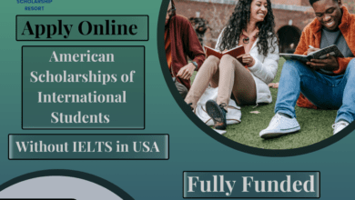 IU International University Scholarships 2024 in Germany