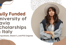 University of Pavia Fully Funded Scholarships 2024 in Italy