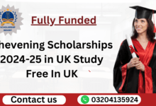 Chevening Scholarships 2024-25 in UK Fully Funded | Study Free In UK